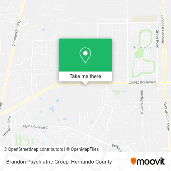 Brandon Psychiatric Group map