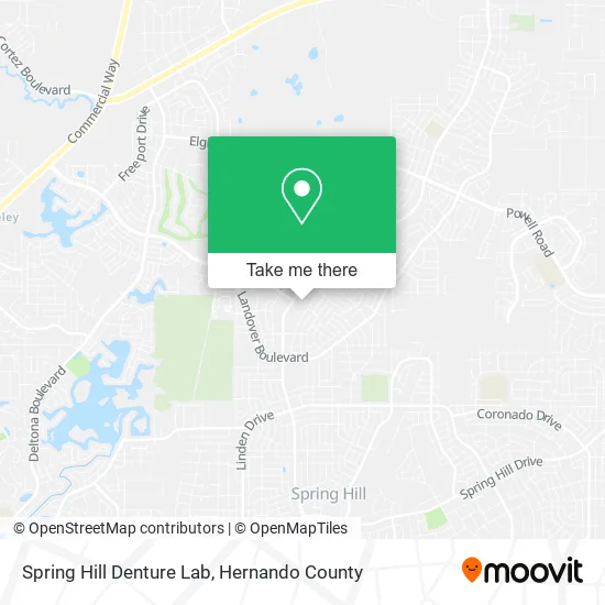 Spring Hill Denture Lab map