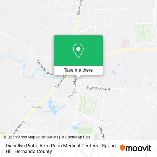 Dianellys Pinto, Aprn Palm Medical Centers - Spring Hill map