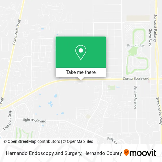 Mapa de Hernando Endoscopy and Surgery
