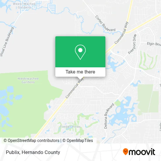 Publix map
