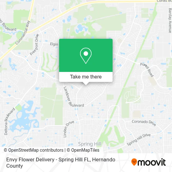 Envy Flower Delivery - Spring Hill FL map