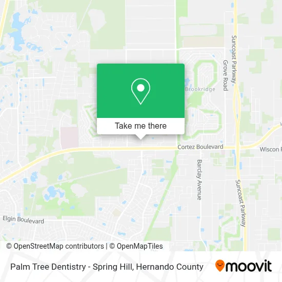 Palm Tree Dentistry - Spring Hill map