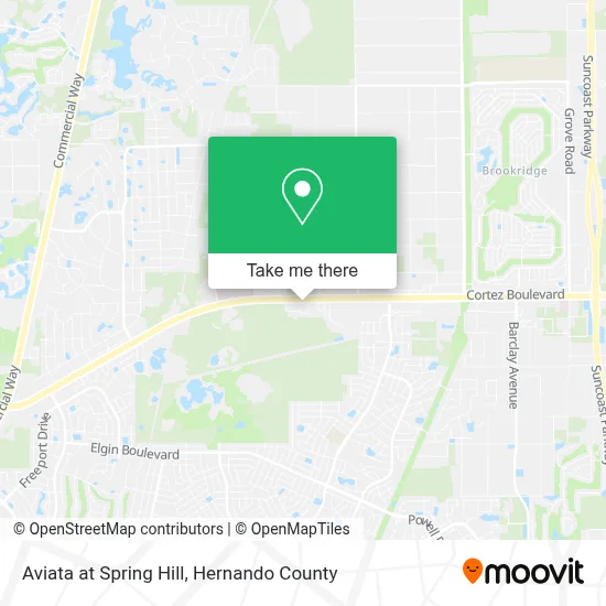 Aviata at Spring Hill map