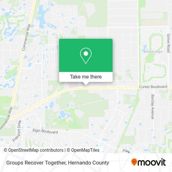Groups Recover Together map