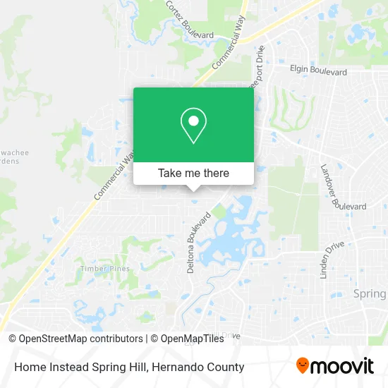 Home Instead Spring Hill map