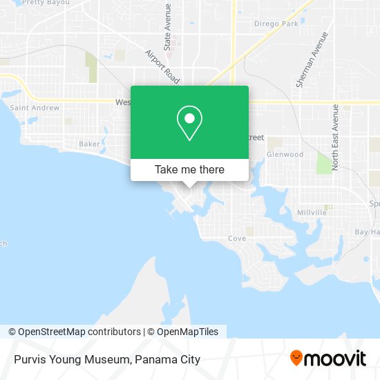 Purvis Young Museum map