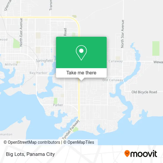Big Lots map