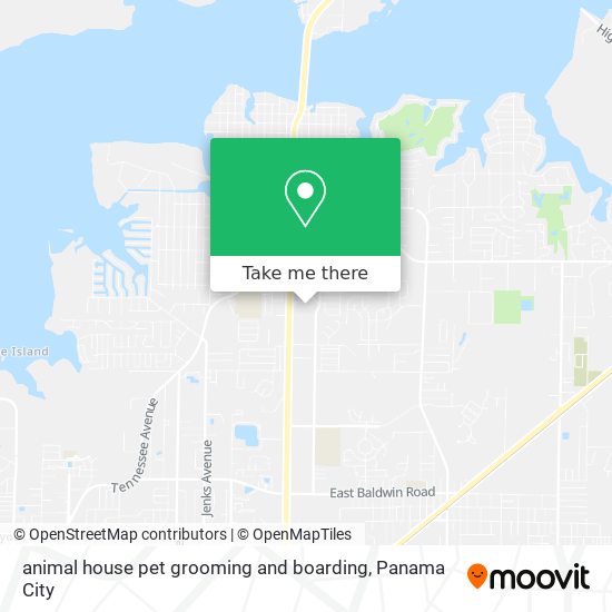 How to get to animal house pet grooming and boarding in Lynn Haven by Bus?