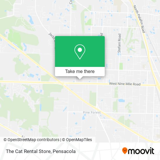 Mapa de The Cat Rental Store