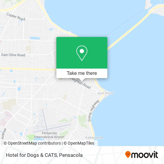 Hotel for Dogs & CATS map