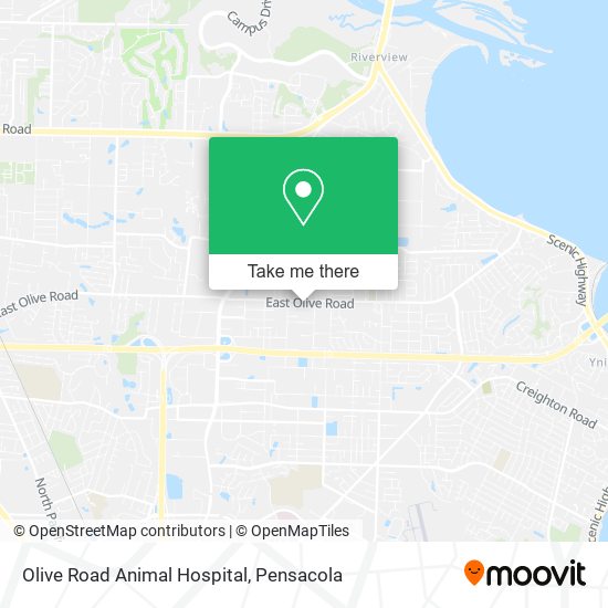 Olive Road Animal Hospital map