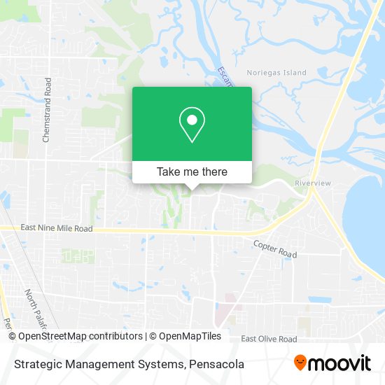 Mapa de Strategic Management Systems