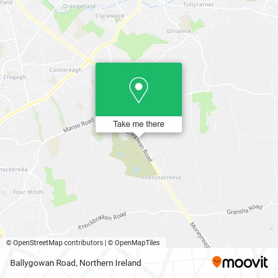 Ballygowan Road map