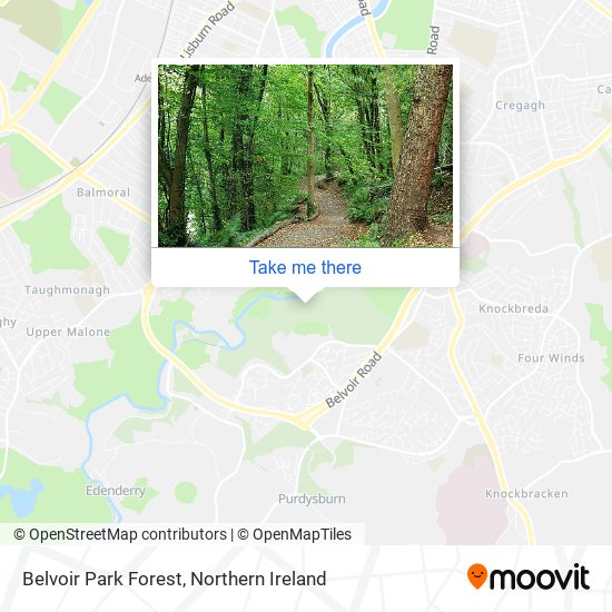 Belvoir Park Forest map