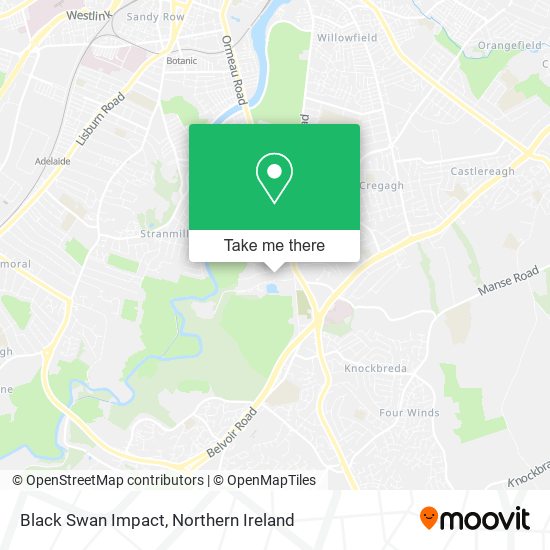 Black Swan Impact map