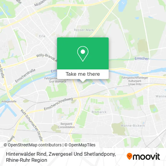 Карта Hinterwälder Rind, Zwergesel Und Shetlandpony