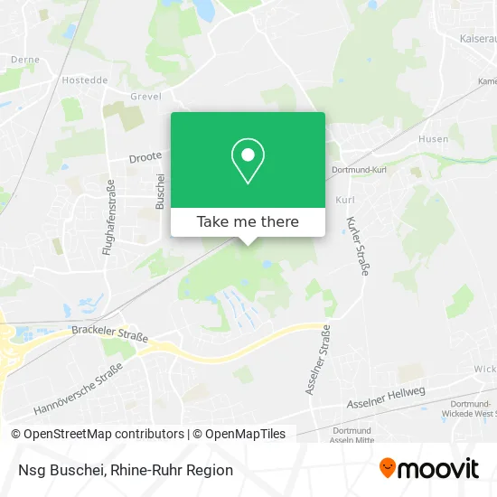 Карта Nsg Buschei