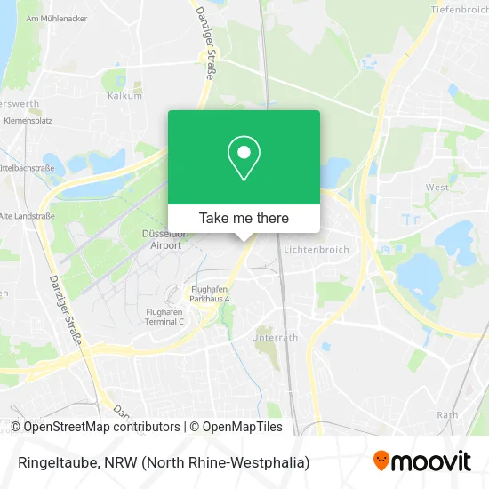 Ringeltaube map