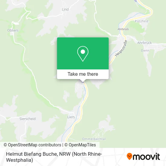 Helmut Biefang Buche map