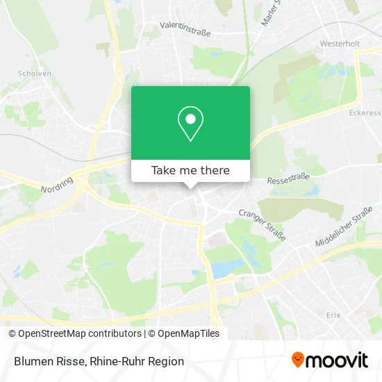 Карта Blumen Risse