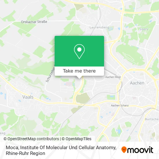 Карта Moca, Institute Of Molecular Und Cellular Anatomy