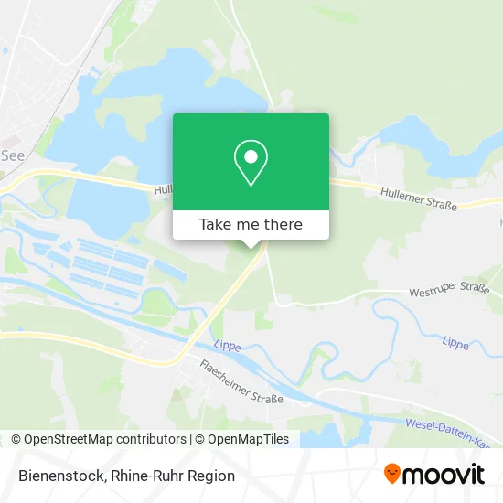 Карта Bienenstock