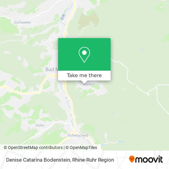 Denise Catarina Bodenstein map