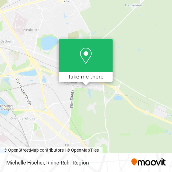 Карта Michelle Fischer