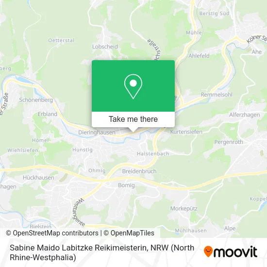 Карта Sabine Maido Labitzke Reikimeisterin