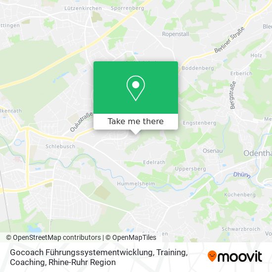 Gocoach Führungssystementwicklung, Training, Coaching map