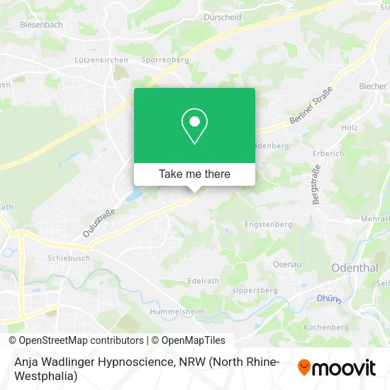 Anja Wadlinger Hypnoscience map