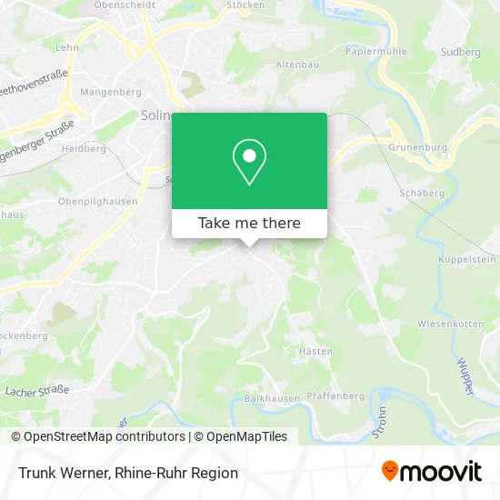 Trunk Werner map