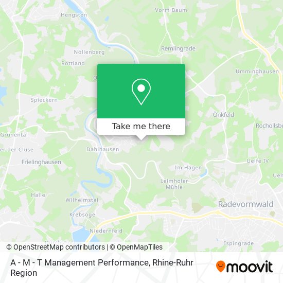 A - M - T Management Performance map