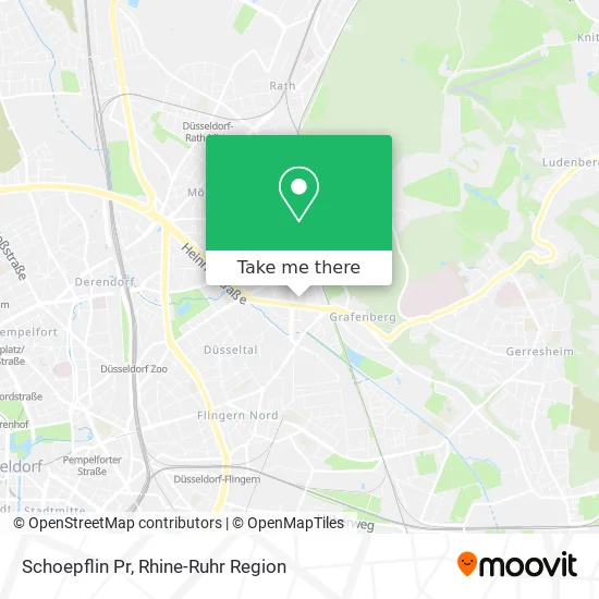 Карта Schoepflin Pr