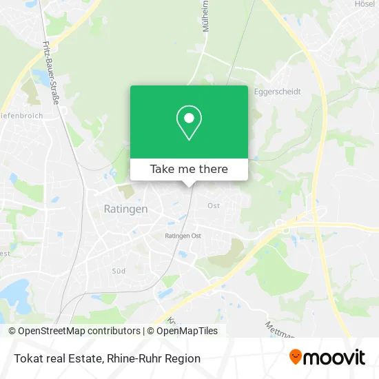 Карта Tokat real Estate