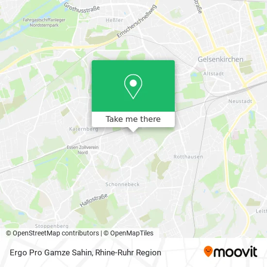 Карта Ergo Pro Gamze Sahin