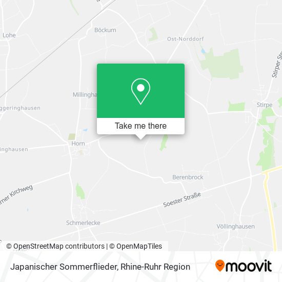 Japanischer Sommerflieder map