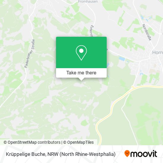 Krüppelige Buche map
