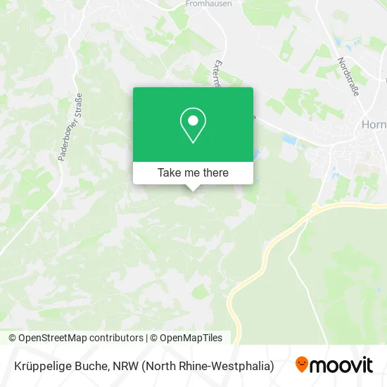 Карта Krüppelige Buche
