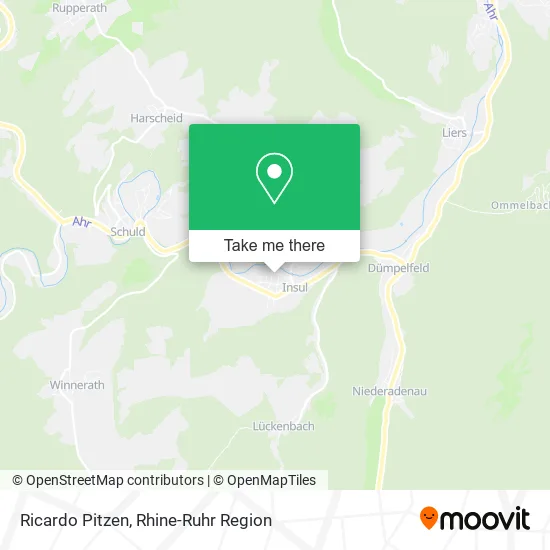 Ricardo Pitzen map