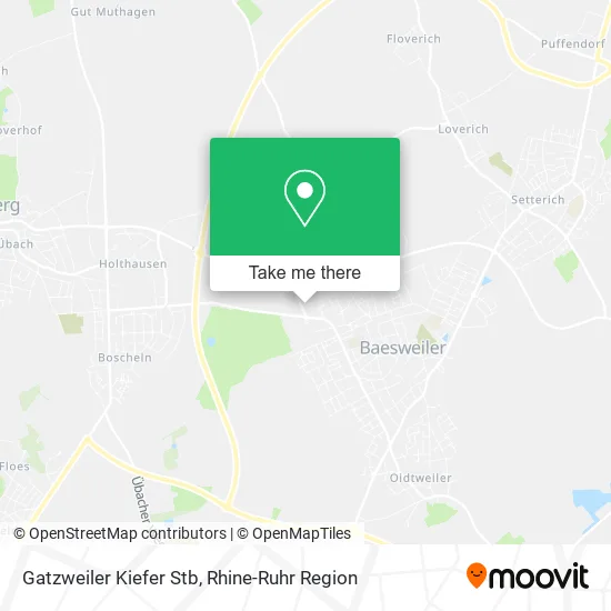 Карта Gatzweiler Kiefer Stb