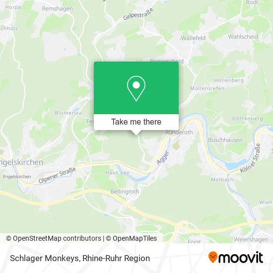 Карта Schlager Monkeys