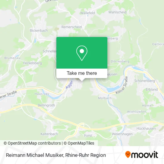 Карта Reimann Michael Musiker