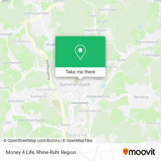 Карта Money 4 Life