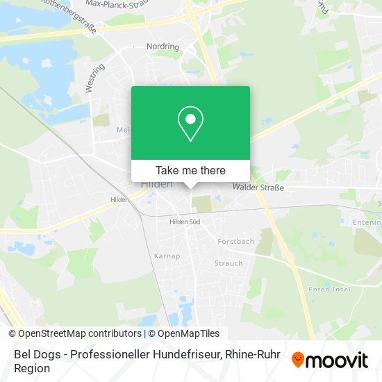 Карта Bel Dogs - Professioneller Hundefriseur