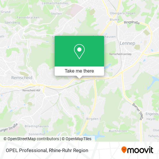 OPEL Professional map