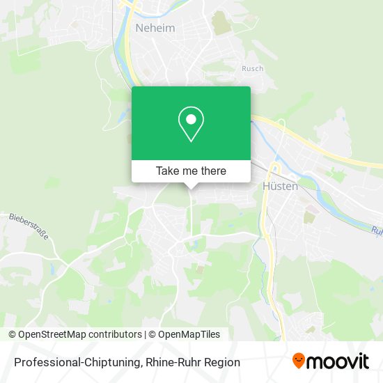 Professional-Chiptuning map