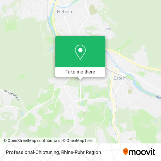 Карта Professional-Chiptuning