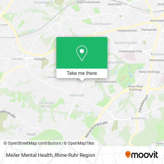 Meiler Mental Health map